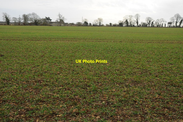 Photo 6"x4" Arable field, Barrington Downs Farm Aldsworth\/SP1510 c2013