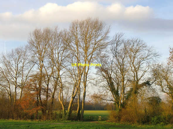 Photo 6"x4" View towards Marsh Meadow from the Cookham Moor causeway Cookham c2013