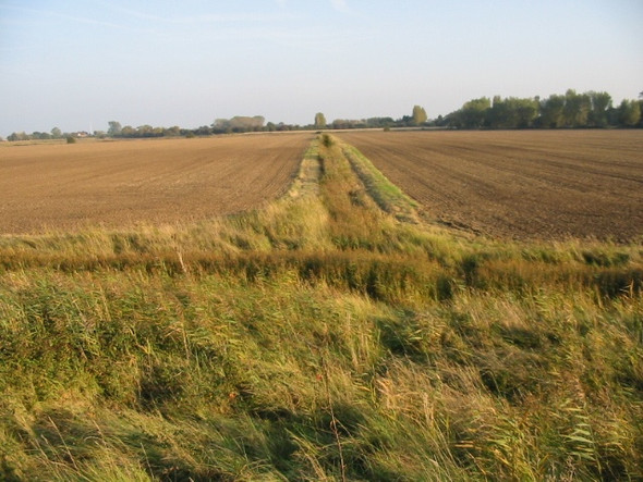 Photo 6"x4" View across farmland from Stour Valley Walk Sandwich c2008