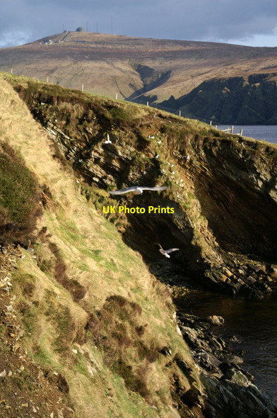 Photo 6"x4" Low cliffs at Burrafirth Burrafirth c2006