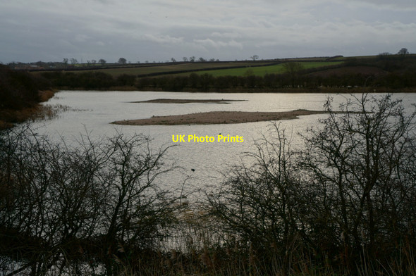Photo 6"x4" Far Ings Nature Reserve Barton Waterside c2013