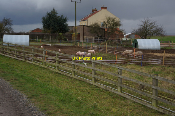 Photo 6"x4" South Cliff Farm on the Viking Way Barton Waterside c2013