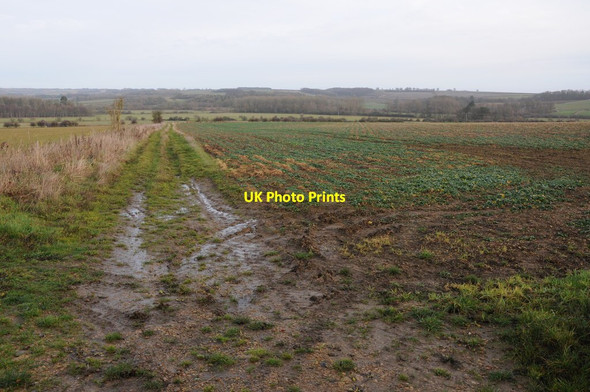 Photo 6"x4" Muddy arable field Sherborne\/SP1714 c2013