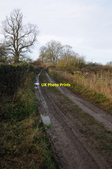 Photo 6"x4" Track opposite Northfield Barn Sherborne\/SP1714 c2013