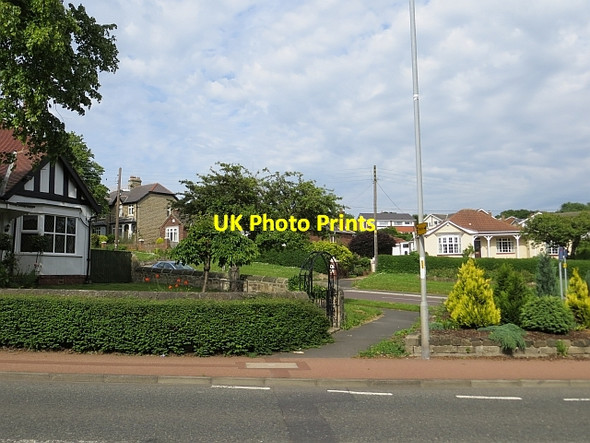 Photo 6"x4" Long Bank Birtley\/NZ2756 c2013