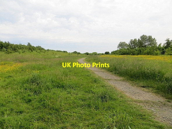 Photo 6"x4" Team Colliery site Gateshead c2013