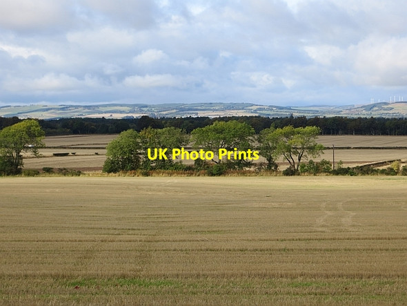Photo 6"x4" Strathmore stubble Newtyle\/NO2941 c2013