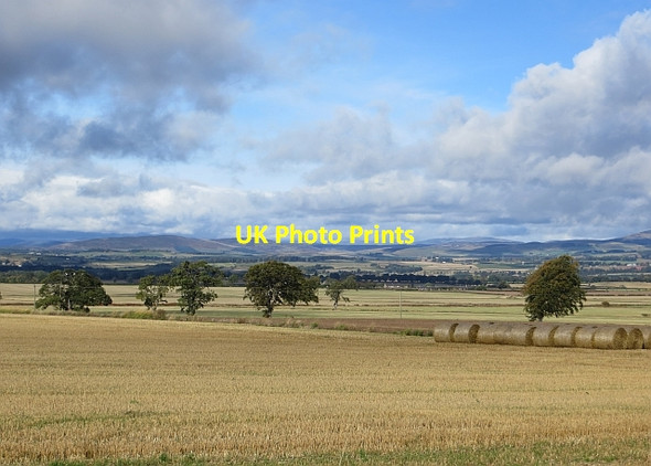 Photo 6"x4" Stubble, Nevay Balkeerie c2013