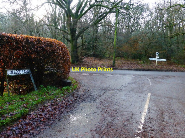 Photo 6"x4" The southern end of College Lane Lower Common\/SU6344 c2013