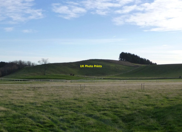 Photo 6"x4" Horses in paddocks East Lilburn c2013