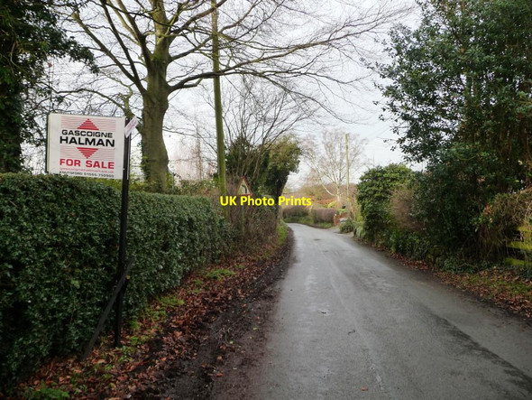 Photo 6"x4" Moss Mere, Brookhouse Green Brookhouse Green c2013