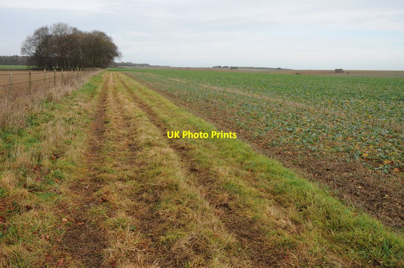 Photo 6"x4" Bridleway across arable land Aldsworth\/SP1510 c2013