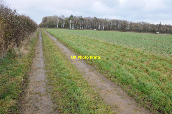Photo 6"x4" Farm road approaching the A40 at Windrush Little Barrington c2013