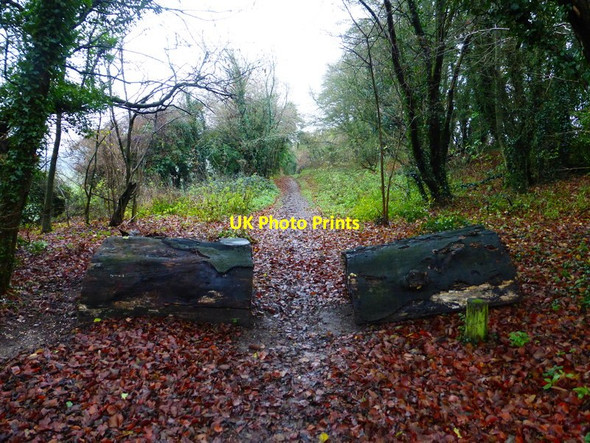 Photo 6"x4" Bridleway towards Cliddesden School Broadmere c2013