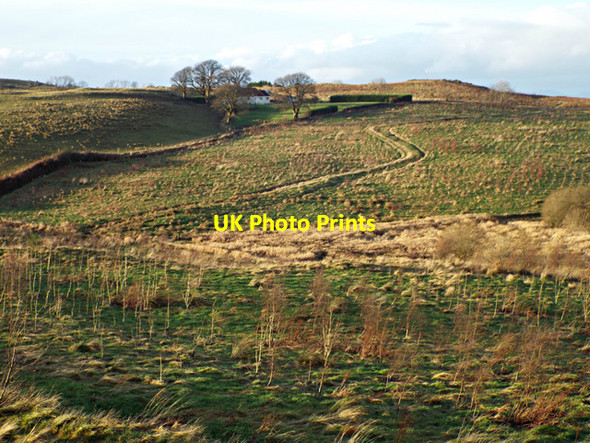 Photo 6"x4" Footpath to East Dougliehill Port Glasgow c2013 P1