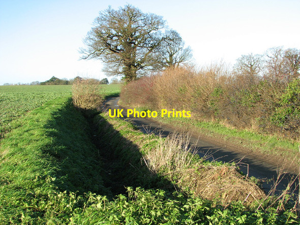 Photo 6"x4" To Beighton on Sandy Lane Moulton St Mary c2013