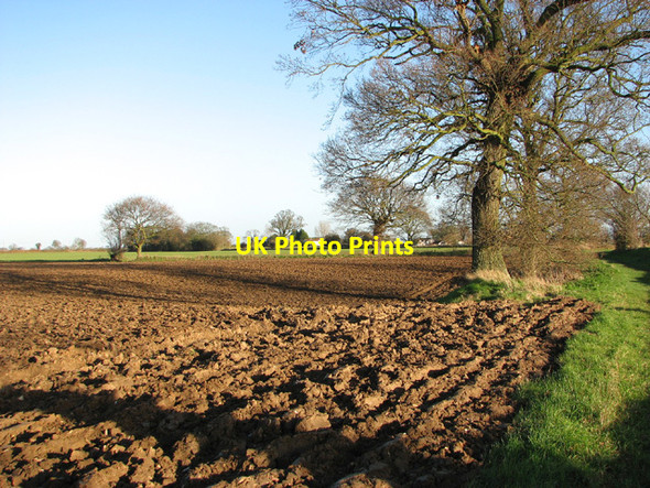 Photo 6"x4" Ploughed field by World's End Farm Cucumber Corner c2013