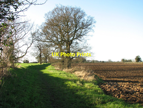 Photo 6"x4" Bridleway to Cantley Corner Cucumber Corner c2013