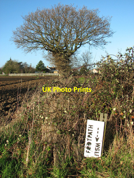 Photo 6"x4" This is not the footpath to World's End Farm Cucumber Corner c2013