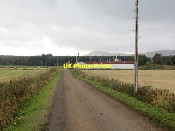 Photo 6"x4" Narrow road at Happas Gallowfauld c2013