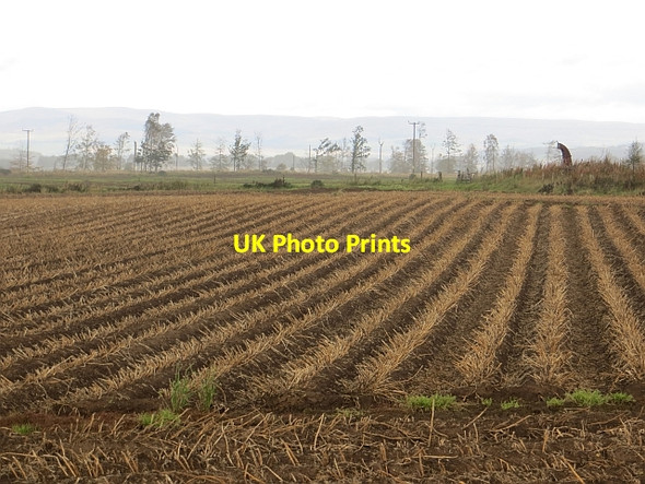 Photo 6"x4" Potato field Gallowfauld c2013