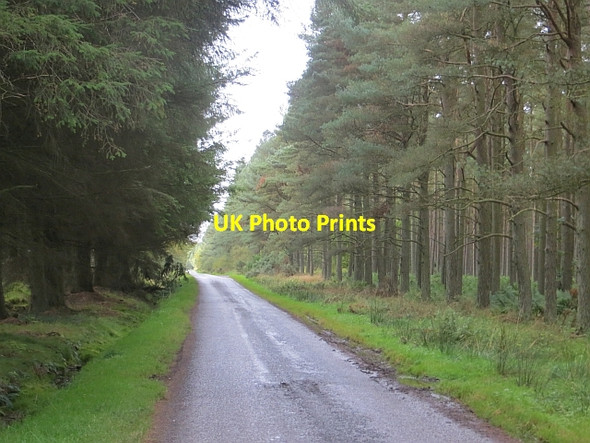 Photo 6"x4" Road from Happas Todhills\/NO4239 c2013