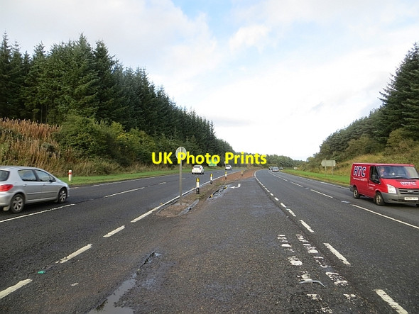 Photo 6"x4" A90 Tarbrax Wood Todhills\/NO4239 c2013
