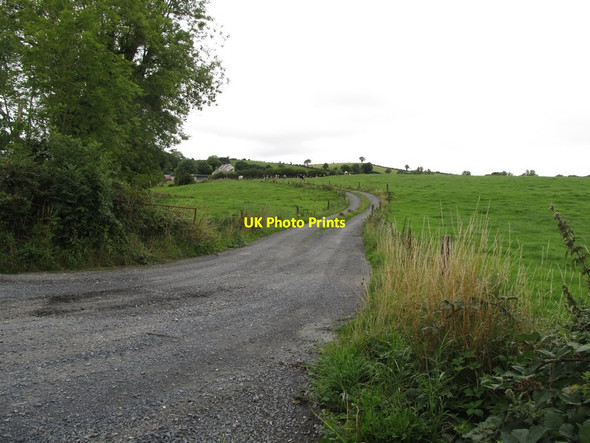 Photo 6"x4" Farm access road leading from the Middle Road Cootehill c2013