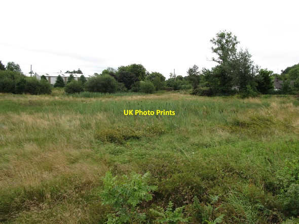 Photo 6"x4" Bogland adjoining Killyrue Cross Roads Madabawn c2013