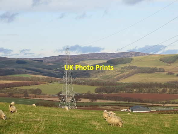 Photo 6"x4" View of the Lammermuir Hills Trabrown c2013