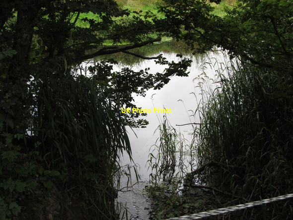 Photo 6"x4" The Annalee at the confluence of a small right hand tributary Madabawn c2013