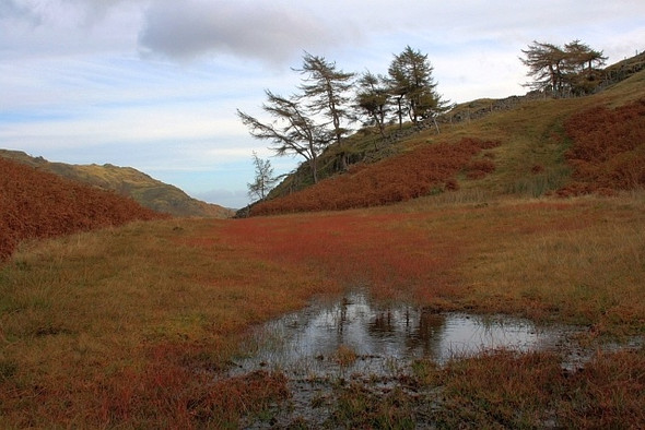 Photo 6"x4" Marshy Col on Rakerigg Little Langdale c2008