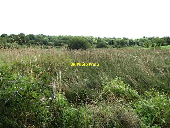 Photo 6"x4" Wetland west of the Cabragh Road Madabawn c2013