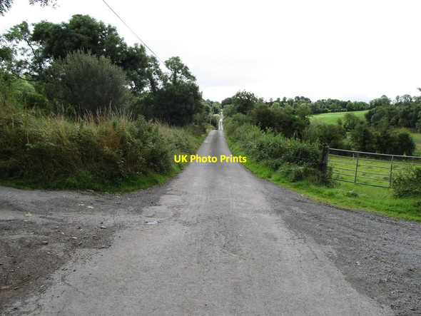 Photo 6"x4" View east along Middle Chapel Road Madabawn c2013