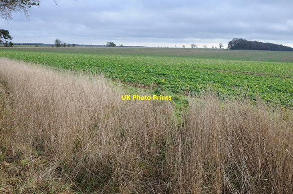 Photo 6"x4" Arable land - North Cerney Calmsden c2013