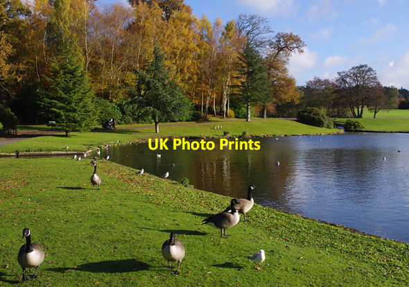 Photo 6"x4" Leeds Castle grounds Ashbank\/TQ8253 c2013