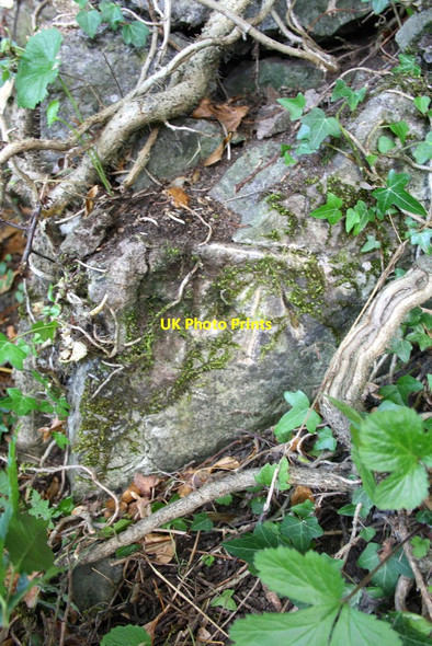 Photo 6"x4" Benchmark on rockface on SE side of Ellers Lane Aysgarth c2013