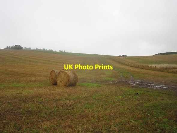 Photo 6"x4" Round bales, Lochmalony Kedlock Feus c2013