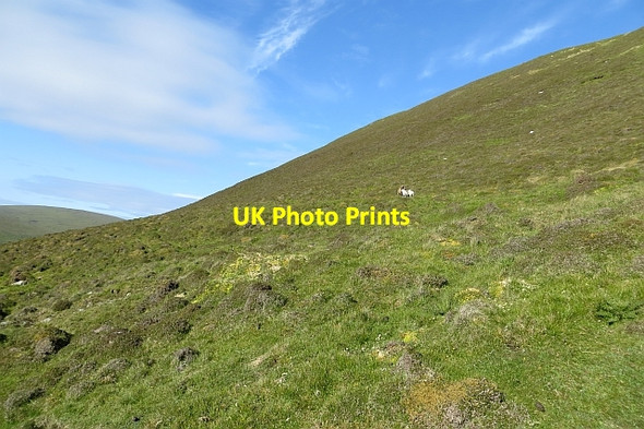 Photo 6"x4" Slopes of Scrae Field Easter Quarff c2013