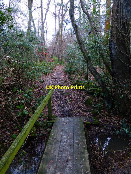 Photo 6"x4" Footbridge into woodland Broad Oak\/SU7551 c2013