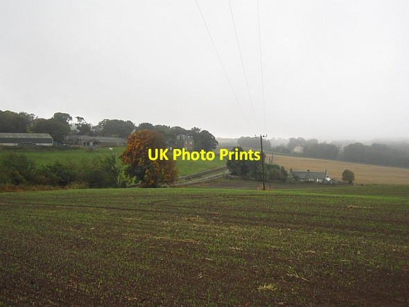 Photo 6"x4" Winter cereals, Logie Logie\/NO4020 c2013
