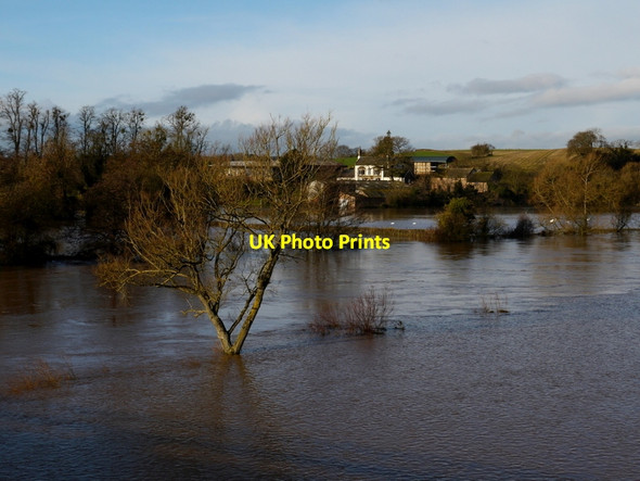 Photo 6"x4" Benhall, Ross-on-Wye Ross-on-Wye c2013