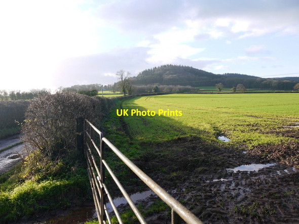 Photo 6"x4" Herefordshire arable land, 2 Canon Pyon c2013