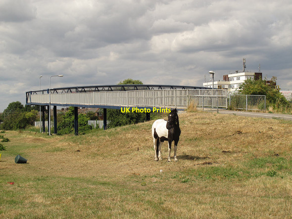 Photo 6"x4" Access ramp to the Hairpin Bridge Tilbury c2013