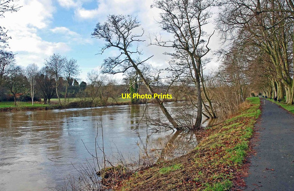 Photo 6"x4" High water level on the River Severn, Stourport-on-Severn Stourport-on-Severn c2013