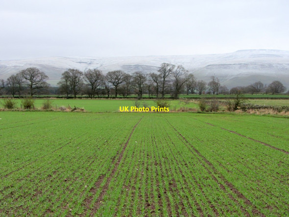Photo 6"x4" Arable land south-east of Culgaith Culgaith c2013