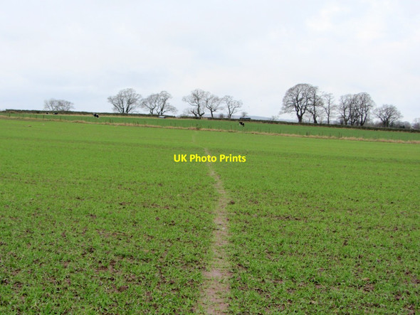 Photo 6"x4" Footpath to Culgaith Culgaith c2013