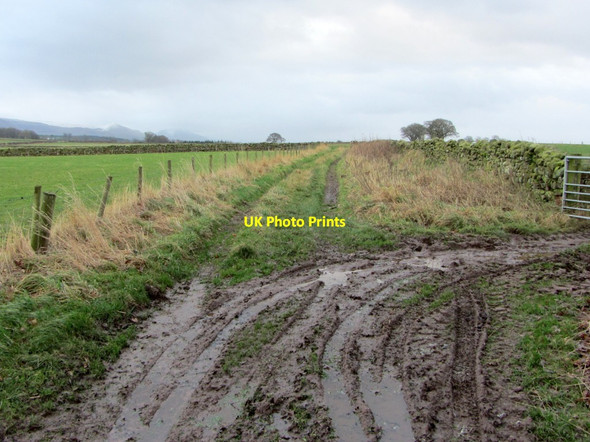 Photo 6"x4" Track east of Culgaith Culgaith c2013 P1