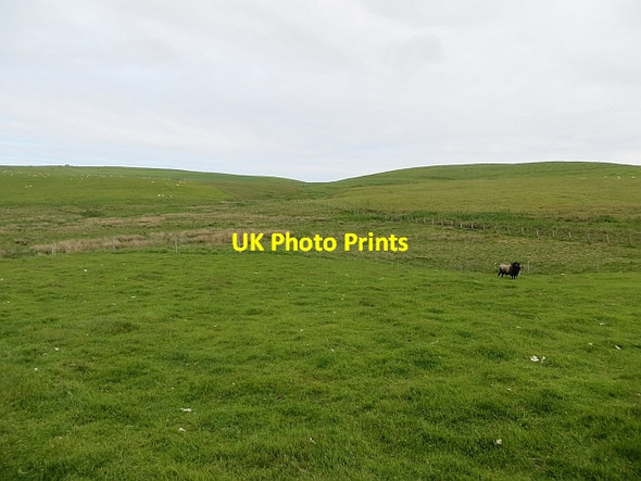 Photo 6"x4" Wetland pasture Brake\/HU3714 c2013