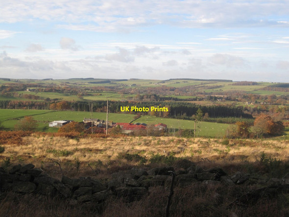 Photo 6"x4" View of Hexamshire Rawgreen c2013